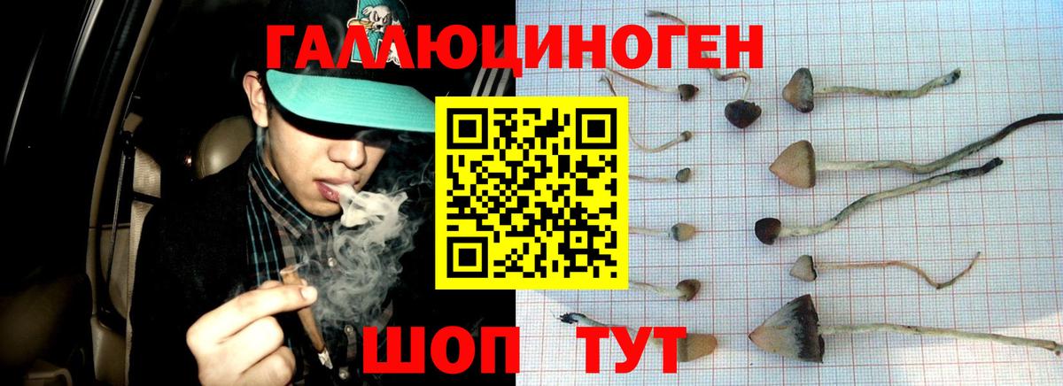 Новороссийск  Псилоцибиновые грибы Cubensis  Псилоцибиновые грибы мицелий  Вход с VPN 