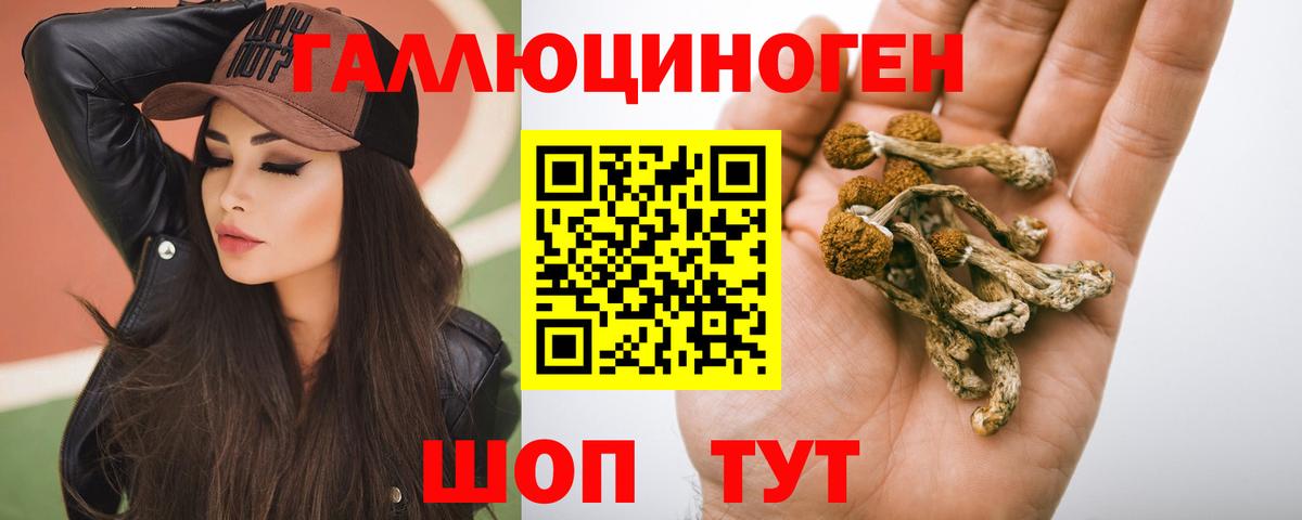 Галлюциногенные грибы мицелий Новороссийск